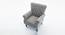 Cleo Lounge Chair (Grey, Fabric Finish) by Urban Ladder - Front View Design 1 - 367903