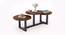 Teigen Coffee Table (Walnut, Powder Coating Finish) by Urban Ladder - Cross View Design 1 - 368501