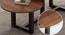 Teigen Coffee Table (Walnut, Powder Coating Finish) by Urban Ladder - Rear View Design 1 - 368528