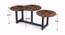 Teigen Coffee Table (Walnut, Powder Coating Finish) by Urban Ladder - Design 1 Dimension - 368548