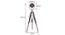 Missouri Tripod Spotlight by Urban Ladder - - 