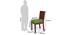 Brighton Large - Oribi 6 Seater Dining Table Set (Teak Finish, Avocado Green) by Urban Ladder - Design 2 Dimension - 369181