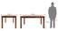 Arabia - Oribi 6 Seater Dining Set (With Bench) (Teak Finish, Burnt Orange) by Urban Ladder - Design 4 Template - 369460