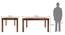 Arabia - Oribi 6 Seater Dining Table Set (With Bench) (Teak Finish, Wheat Brown) by Urban Ladder - - 