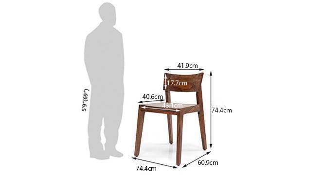 Gordon dining chair tk