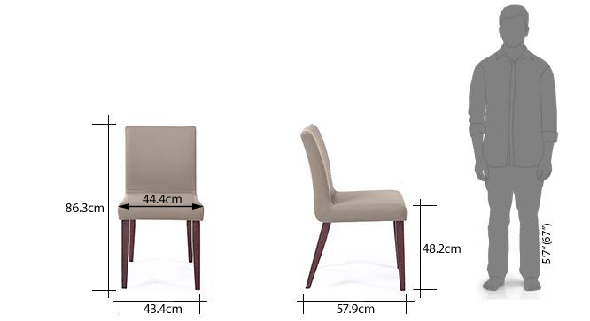 Persica dining chair dimensionnew 32