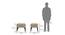 Morgen Wing Chair & Ottoman (Calico Print) by Urban Ladder - - 