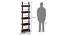 Austen Bookshelf/Display Unit (45-book capacity) (Mahogany Finish) by Urban Ladder - - 