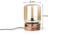 Harare Table Lamp (Light Brown Base Finish, Dark Tint Shade Colour) by Urban Ladder - - 