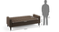 Salford Storage Sofa Bed (Brown) by Urban Ladder - - 