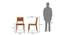 Aries Dining Chair - Set of 2 (Teak Finish) by Urban Ladder - - 