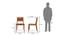 Arabia XL Storage - Aries 6 Seater Dining Table Set (Teak Finish) by Urban Ladder - - 