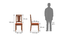 Martha Dining Chairs - Set Of 2 (Teak Finish, Burnt Orange) by Urban Ladder - - 