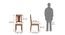 Martha Dining Chairs - Set Of 2 (Teak Finish, Wheat Brown) by Urban Ladder - Design 1 Dimension - 370280