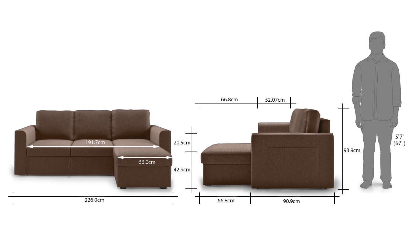 Daschund brown 1