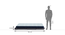Finn Futon Sofa Cum Bed (Midnight Blue) by Urban Ladder - - 