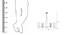 Sasha Chandelier (Chrome) by Urban Ladder - - 