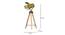 Regina Tripod Lamp (Natural) by Urban Ladder - - 