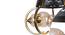 Hartwell Chandelier (Brass) by Urban Ladder - - 