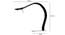 Jordan Study Lamp (Black) by Urban Ladder - - 