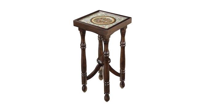 Kamya Planter Table (Walnut, Matte Finish) by Urban Ladder - Cross View Design 1 - 371067