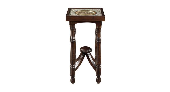 Kamya Planter Table (Walnut, Matte Finish) by Urban Ladder - Front View Design 1 - 371081