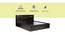 Antioco Storage Bed (Queen Bed Size, Melamine Finish) by Urban Ladder - Cross View Design 1 - 371469