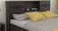 Amakusa Storage Bed (Queen Bed Size, Melamine Finish) by Urban Ladder - Design 1 Close View - 371510