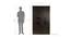 Averie 3 door Wardrobe (Melamine Finish, Wenge) by Urban Ladder - Design 1 Dimension - 371522