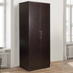 Wardrobe Under 10000 Design Tyche Engineered Wood 2 Door Wardrobe in Laminate Finish