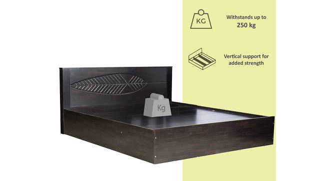 Capraia Storage Bed (King Bed Size, Melamine Finish) by Urban Ladder - Front View Design 1 - 371558