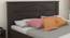 Burano Storage Bed (Queen Bed Size, Melamine Finish) by Urban Ladder - Design 1 Close View - 371590