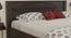 Capraia Storage Bed (King Bed Size, Melamine Finish) by Urban Ladder - Design 1 Close View - 371591