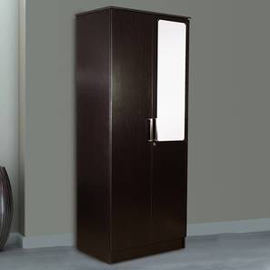 Wardrobe Under 10000 Design Tyche Engineered Wood 2 Door Wardrobe With Mirror in Laminate Finish