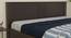 Eolie Storage Bed (King Bed Size, Melamine Finish) by Urban Ladder - Design 1 Close View - 371683
