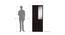 Cassidy 2 door Wardrobe with Mirror (Laminate Finish, Wenge) by Urban Ladder - Design 1 Dimension - 371697