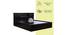 Gilbert Storage Bed (Queen Bed Size, Melamine Finish) by Urban Ladder - Front View Design 1 - 371916
