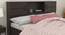 Goto Storage Bed (Queen Bed Size, Melamine Finish) by Urban Ladder - Design 1 Side View - 371933