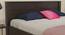 Meloria Storage Bed (King Bed Size, Melamine Finish) by Urban Ladder - Design 1 Close View - 372181