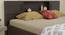 Linosa Storage Bed (King Bed Size, Melamine Finish) by Urban Ladder - Design 1 Close View - 372182