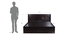 Montecristo Storage Bed (Queen Bed Size, Melamine Finish) by Urban Ladder - Design 1 Dimension - 372190