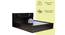 Porto Storage Bed (Queen Bed Size, Melamine Finish) by Urban Ladder - Front View Design 1 - 372230