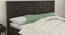 Pantelleria Storage Bed (Queen Bed Size, Melamine Finish) by Urban Ladder - Design 1 Side View - 372248