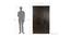 Regina 3 door Wardrobe (Melamine Finish, Wenge) by Urban Ladder - Design 1 Dimension - 372360