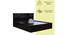 Stromboli Storage Bed (Queen Bed Size, Melamine Finish) by Urban Ladder - Front View Design 1 - 372385