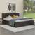 Osumi storage bed wenge color melamine finish lp