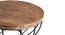 Lois Coffee Table (Semi Gloss Finish, Rustic Teak) by Urban Ladder - Rear View Design 1 - 372665