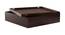 Mary Jane Coffee Table (Walnut, Semi Gloss Finish) by Urban Ladder - Front View Design 1 - 372755