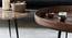 Marianna Coffee Table (Semi Gloss Finish, PROVINCIAL TEAK) by Urban Ladder - Rear View Design 1 - 372765