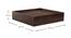 Mary Jane Coffee Table (Walnut, Semi Gloss Finish) by Urban Ladder - Design 1 Dimension - 372793